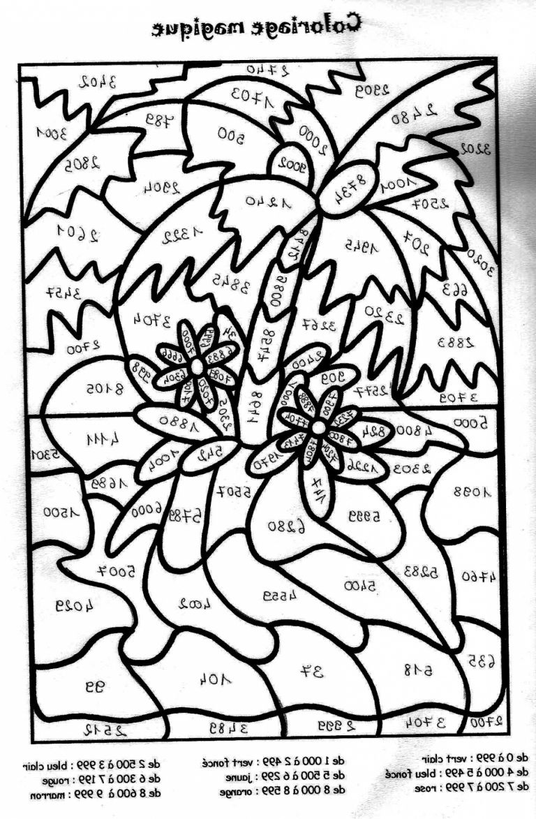 Luxe De Coloriage Magique Soustraction Cp Image Coloriage Coloriage