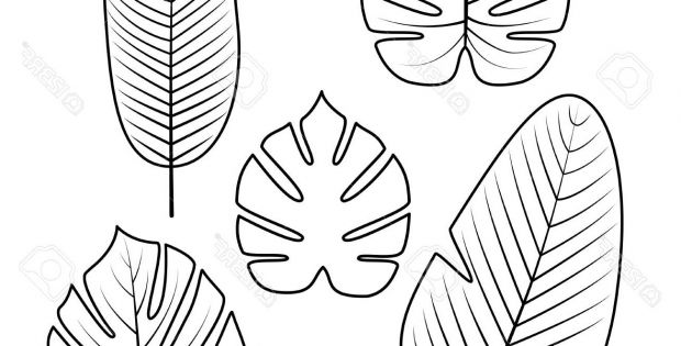 Feuille De Coloriage Cool Collection 60 Coloriage Feuille Tropicale