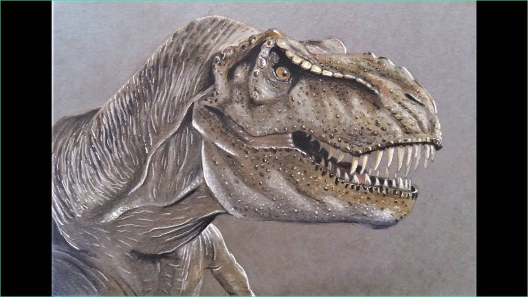 Dessin T Rex Cool Photos Dessiner Un T Rex R Aliste Draw Realistic T