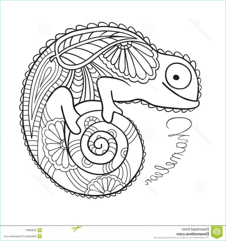 Inspirant De Mandala Cameleon Collection Coloriage Coloriage