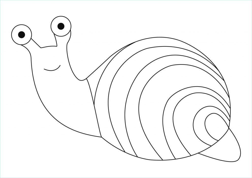 Beau De Escargot A Colorier Stock Coloriage Coloriage