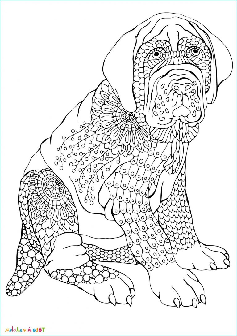 Dessin A Imprimer Chien Cool Collection Coloriage Chien Un Dessin à