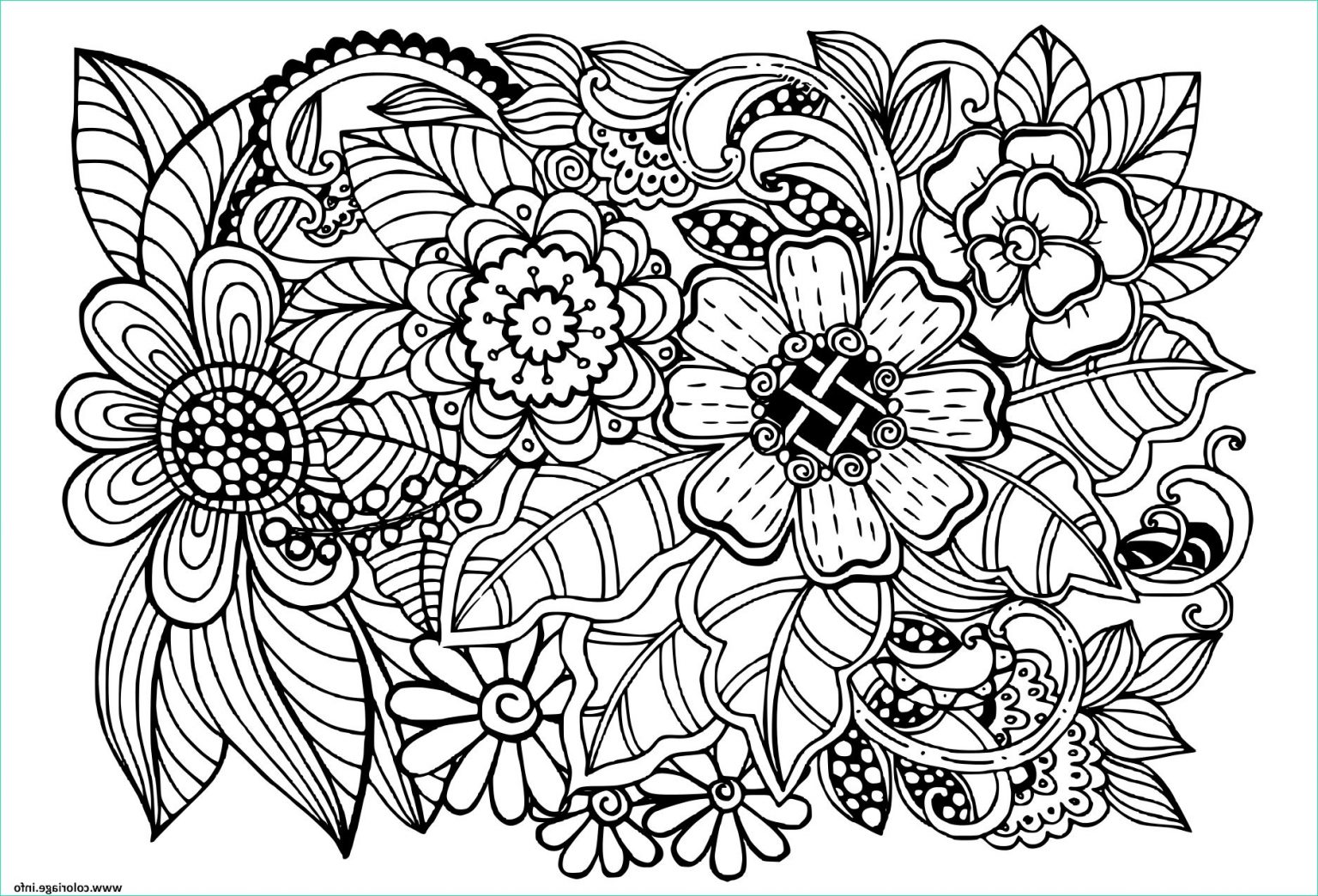 Dessin A Imprimer Adulte Nouveau Collection Coloriage Beau Doodle Motif