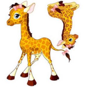 Bébé Girafe Dessin Luxe Photos Stickers Chambre Bebe Girafe Dans Divers Achetez Au