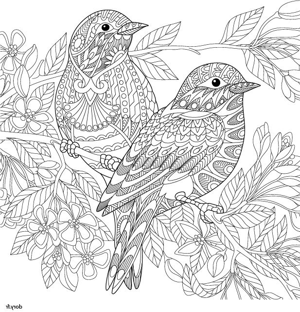 Coloriage Adulte Animaux Inspirant Photographie Coloriage Adultes Des Oiseaux Dory Coloriages