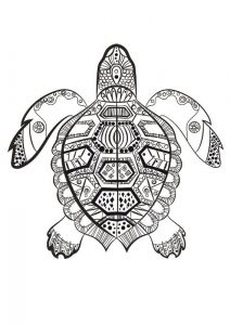 Coloriage Animal Mandala Cool Photographie La tortue Marine à Colorier Du Dimanche …