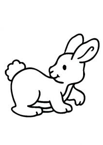 Coloriage Bébé Lapin Inspirant Galerie Coloriages Bebe Lapin Coloriage In B