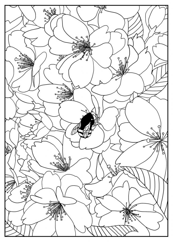 Coloriage Cerisier Impressionnant Photos Free Printable Flower Coloring Pages for Kids Best