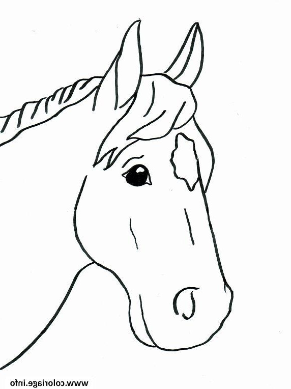 Coloriage Cheval Facile Impressionnant Images Coloriage Cheval Facile 46 Dessin
