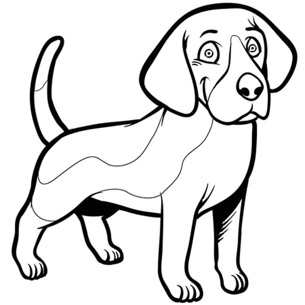 Dessin à Imprimer Chien Impressionnant Images Chien Beagle Coloriage Chien Beagle En Ligne Gratuit A