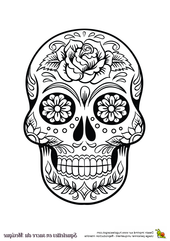 Dessin A Imprimer Tete De Mort Inspirant Images Squelette Sucre Roses Fleurs Halloween