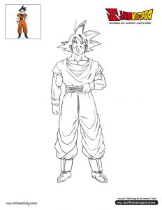 Dessin Dbz Goku Impressionnant Collection Coloriages Coloriage Goku Fr Hellokids