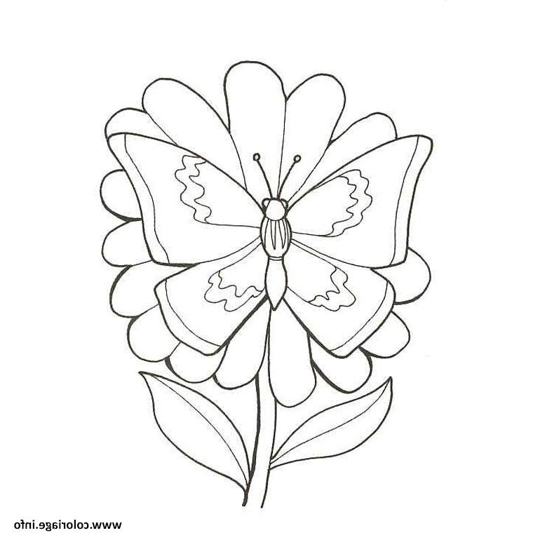 Dessin Fleur à Imprimer Beau Images Coloriage Fleur Papillon Dessin