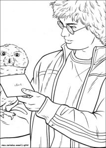 Dessin Hedwige Inspirant Image Coloriage Coloriage D Hedwig