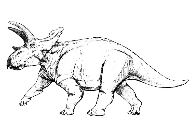 Dessin Triceratops Luxe Photos Coloriage Tricératops Img 9148