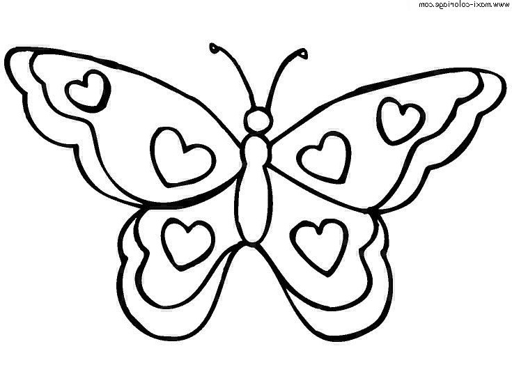 Dessiner Un Papillon Maternelle Beau Image Dessin Magique Papillon A Imprimer Gratuit
