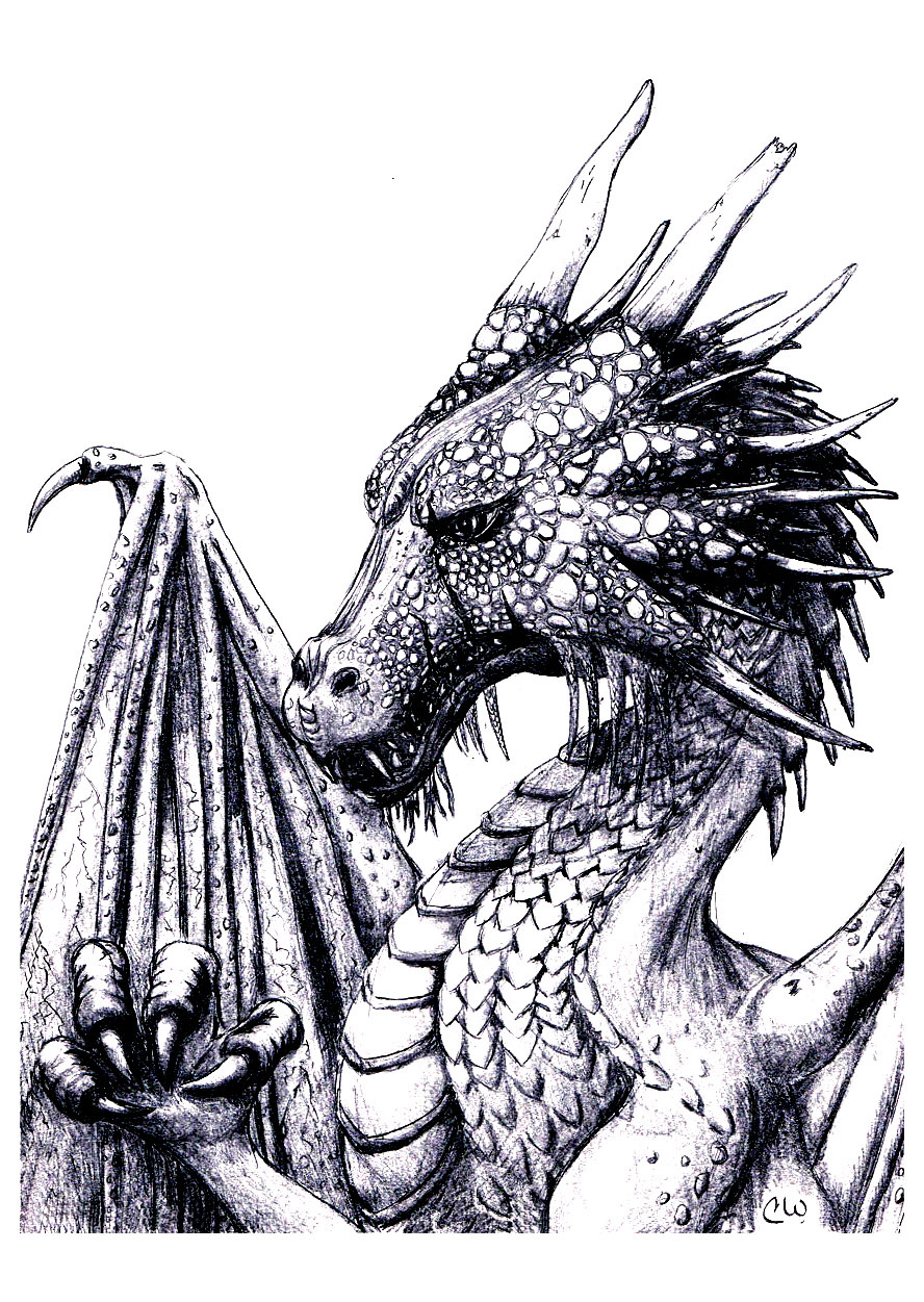 Dragon Dessin Difficile Impressionnant Image Hidden Mythes Et Légendes Coloriages Difficiles Pour
