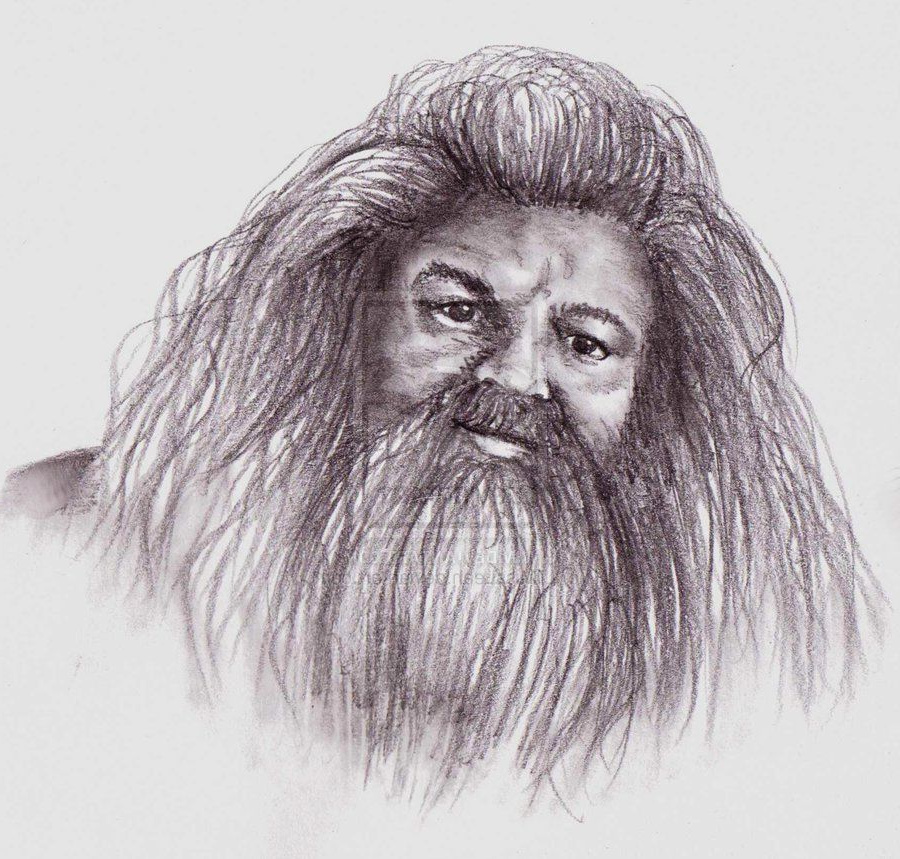 Dumbledore Dessin Beau Photos Pencil Drawings Of Luna Lovegood