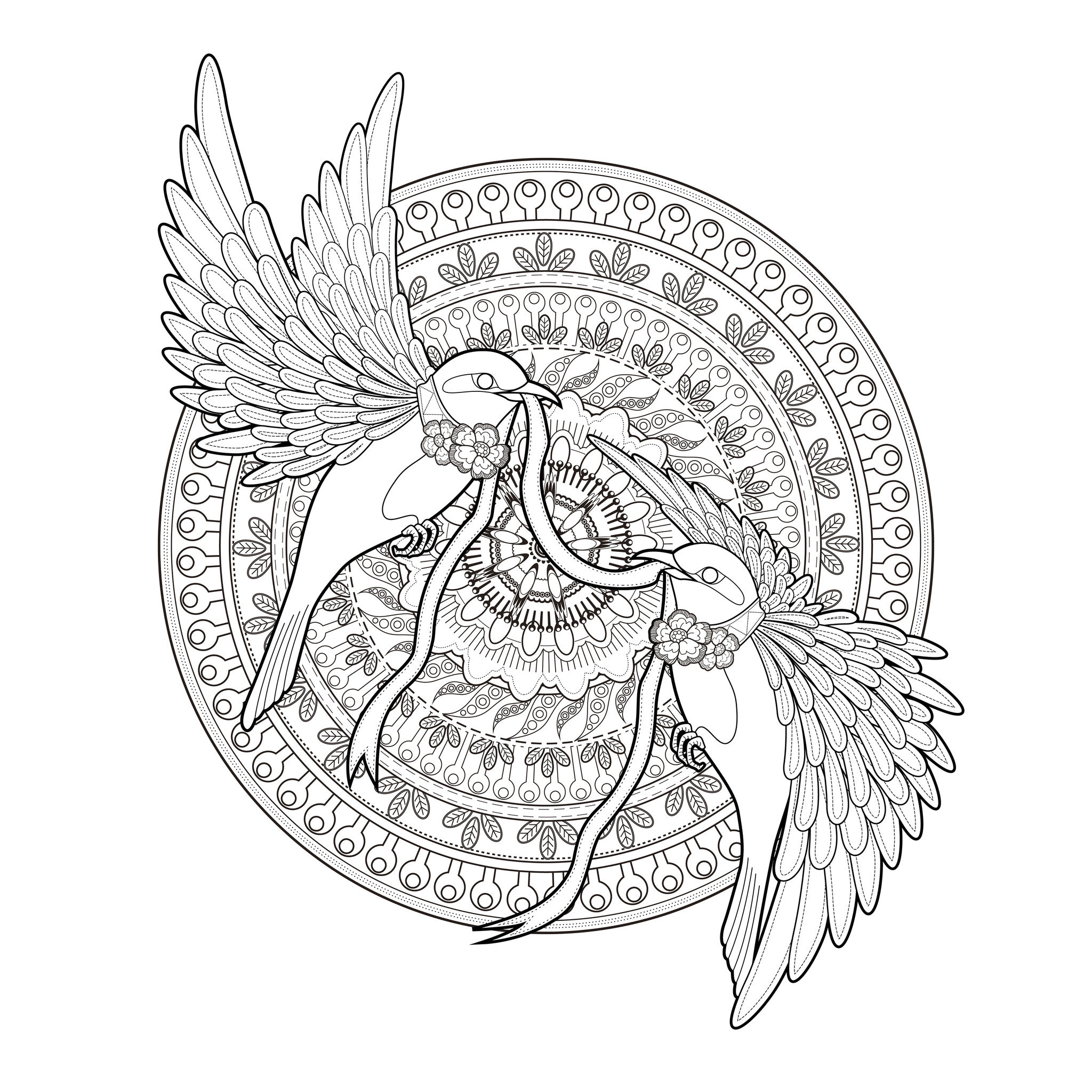 Mandala Adulte Animaux Impressionnant Images Mandala Deux Hirondelles Et Un Ruban Oiseaux