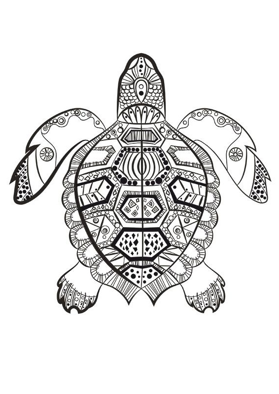 Mandala Adulte Animaux Inspirant Image La tortue Marine à Colorier Du Dimanche