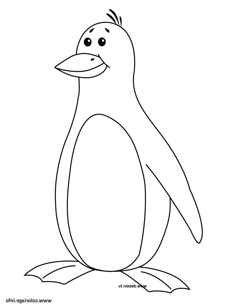 Pingouin Dessin Facile Luxe Galerie Coloriage Pingouin Facile Pour Enfant Jecolorie