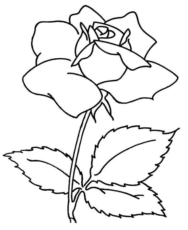Rose A Colorier Beau Photos Coloriage De Fleur Dessin Une Jolie Rose à Colorier
