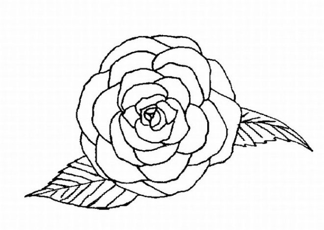 Rose A Colorier Élégant Collection Coloriage Roses Vue De Face Dessin Gratuit à Imprimer