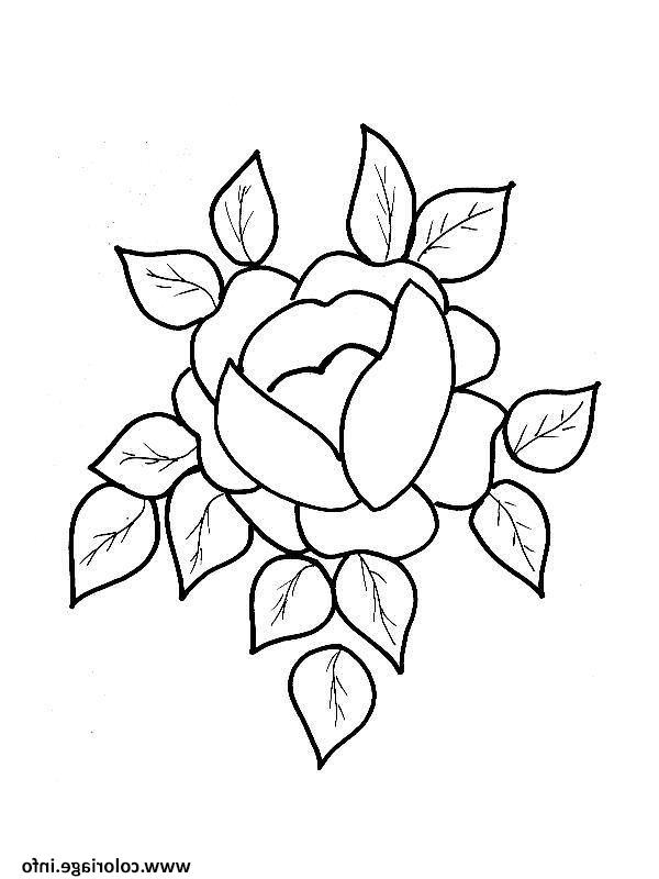 Rose A Colorier Élégant Galerie Coloriage Roses 125 Dessin