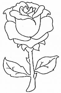 Rose A Colorier Luxe Collection Coloriage Roses Les Beaux Dessins De Nature à Imprimer