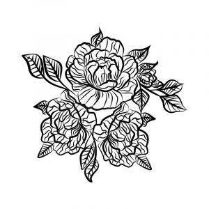 Rose Noir Et Blanc Dessin Bestof Galerie Dessin Noir Et Blanc D Un Tatouage De Rose Silhouette De