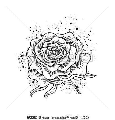 Rose Noir Et Blanc Dessin Cool Photos Fleur Rose isolé Vecteur Noir Blanc Art T Shirts