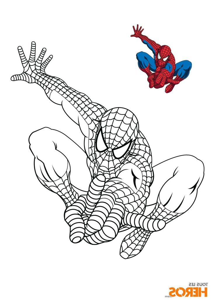 Spiderman Dessin Couleur Luxe Stock Les 25 Meilleures Idées De La Catégorie Coloriage