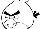 Angry Birds Coloriage Beau Galerie Angry Birds 79 Dessins Animés – Coloriages à Imprimer