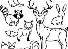 Animal Coloriage Beau Stock Animaux A Colorier De La foret Gratuit Artherapie