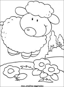 Animaux Coloriage Bestof Galerie Best 20 Animaux Dessin Ideas On Pinterest