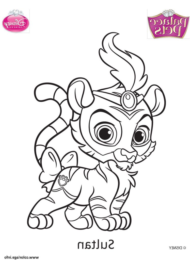  Animaux  Disney  Dessin l gant Photos Coloriage Palace Pets 