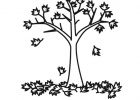Arbre à Imprimer Unique Photos Arbre 29 Nature – Coloriages à Imprimer