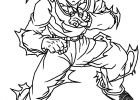 Bardock Dessin Inspirant Stock Facile Dragon Ball Broly Super Sayian Legendaire Coloriage