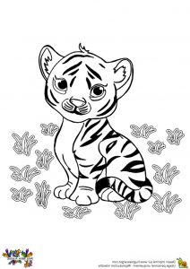 Bébé Tigre Dessin Bestof Images Coloriages De Bebe Tigre Dindigulz