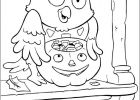 Bonbon Halloween Dessin Bestof Photos Coloriage Chouette Des Bonbons