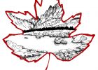 Canada Dessin Bestof Images Petit format Blog Bd Le Blog De Grégorman