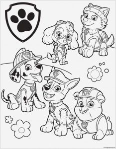 Chase Pat Patrouille Coloriage Impressionnant Photos Coloriage Pat Patrouille Zuma Favori Ausmalbilder Paw