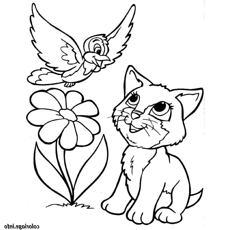 Chat A Imprimer Luxe Image Coloriage Chat Oiseau Fleur Jecolorie