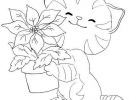 Chaton Dessin Luxe Image Colorier Dessin Coloriage Gratuit à Imprimer Et Colorier