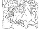 Cheval à Imprimer Inspirant Photos Coloriage Cheval Grand Galop