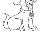 Chien Coloriage Impressionnant Galerie Pin Chien Coloriage On Pinterest