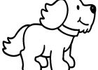 Chien Coloriage Luxe Stock Coloriage Chien 2