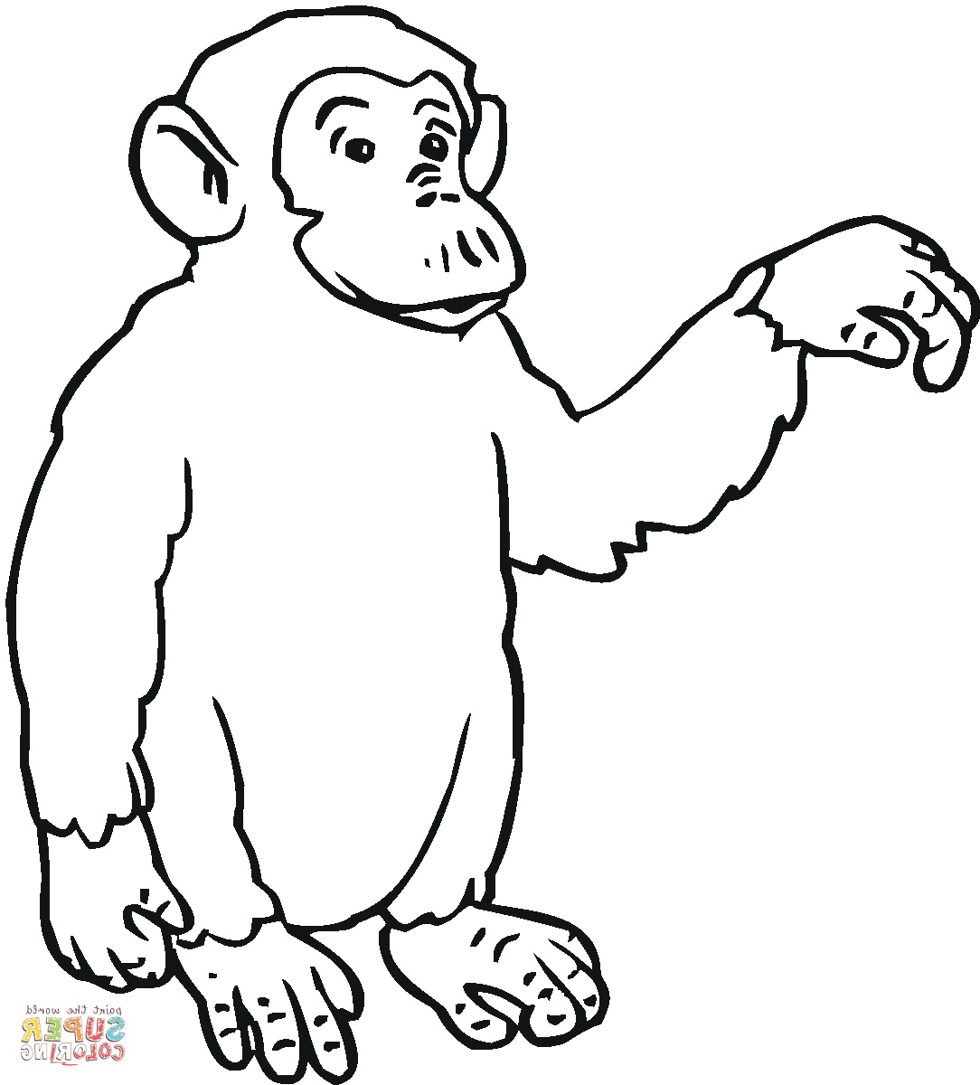Chimpanzé Dessin Beau Images Coloriage Chimpanzé Qui Salut