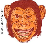 Chimpanzé Dessin Beau Stock Clip Art Et Illustrations De Bonobo 21 Dessins Et