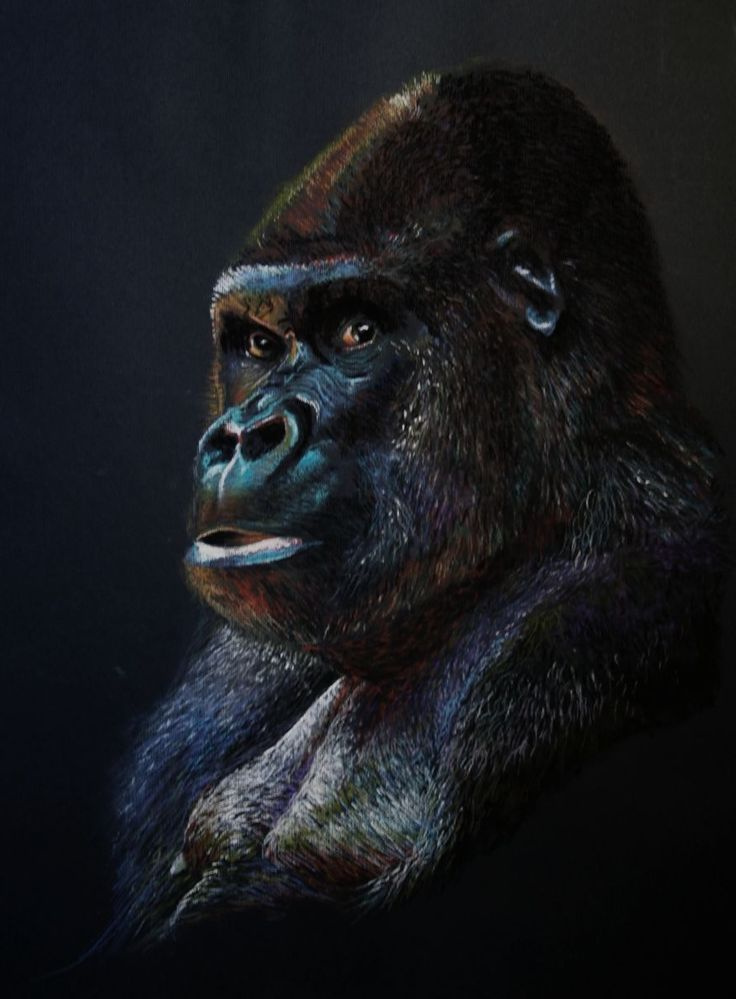Chimpanzé Dessin Cool Galerie Les 25 Meilleures Idées De La Catégorie Gorille Sur